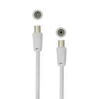 Antenski