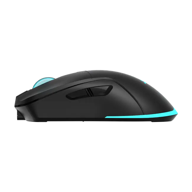 Baracuda MIŠ BGM-121 TURTLE CRNI / 3200 dpi / Wireless