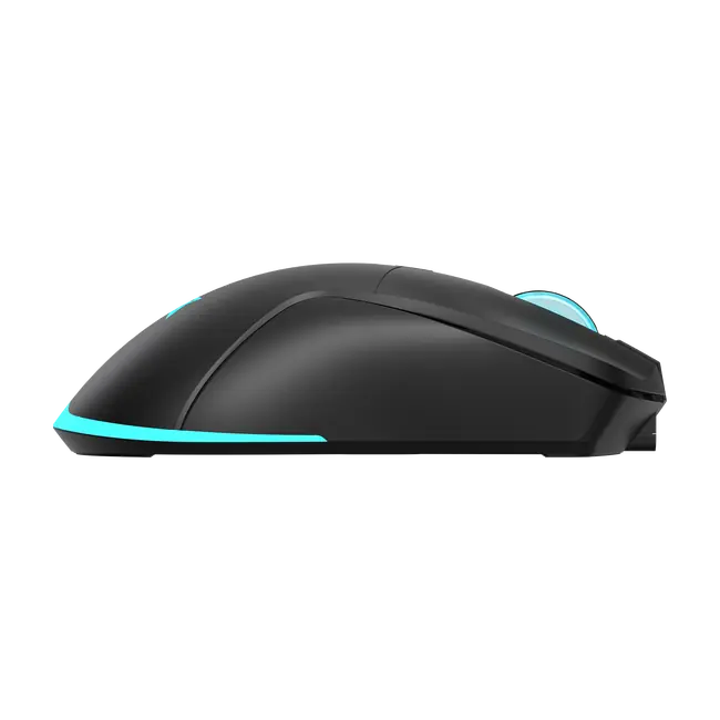 Baracuda MIŠ BGM-121 TURTLE CRNI / 3200 dpi / Wireless
