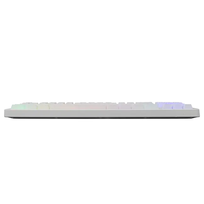 Baracuda TIPKOVNICA BGK-01124 KRILL Bijela / US