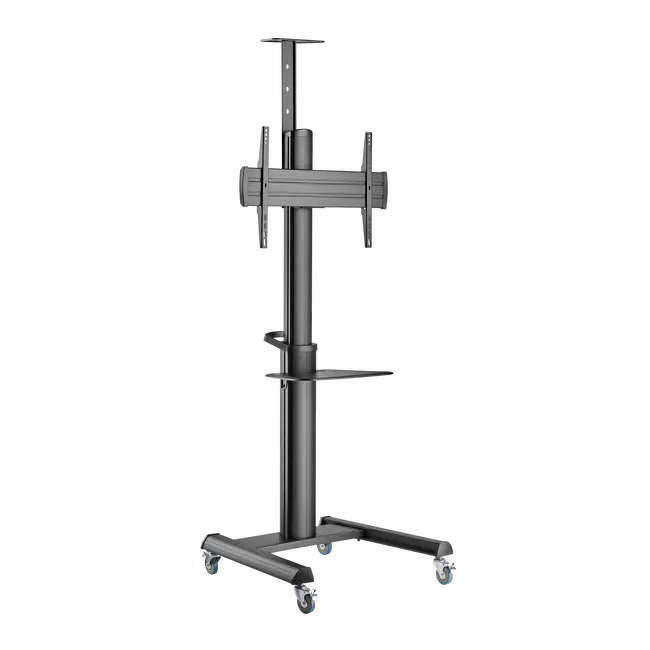 STALAK SBOX Podni FS-446-2 (37-70"/70kg/600x400)
