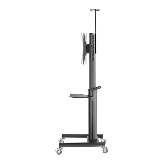 STALAK SBOX Podni FS-446-2 (37-70"/70kg/600x400)