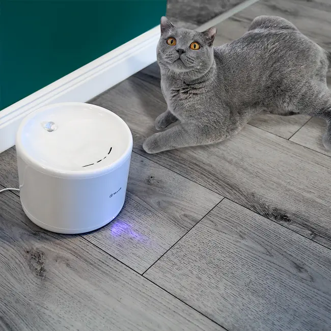TELLUR SMART WIFI PET WATER DISPENSER, 2L, WHITE