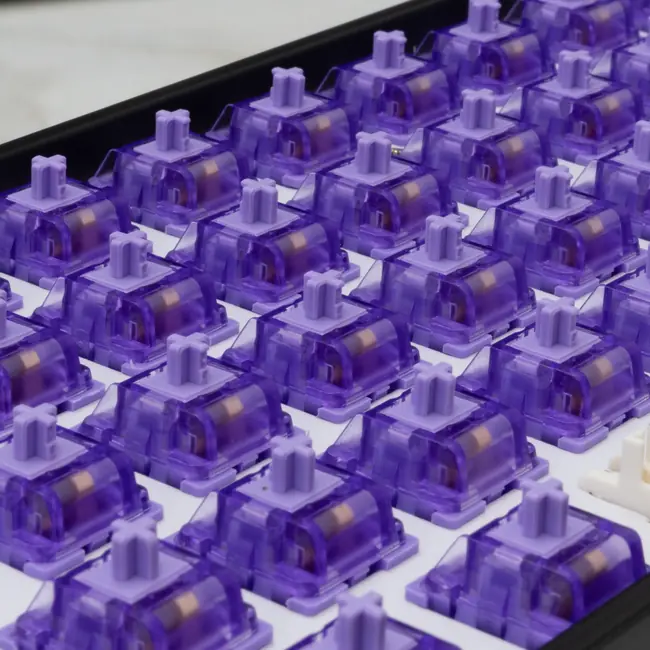 WHITE SHARK MEHANIČKI PREKIDAČ ZA TIPKOVNICU PURPLEPULSE-65 / 65 KOM