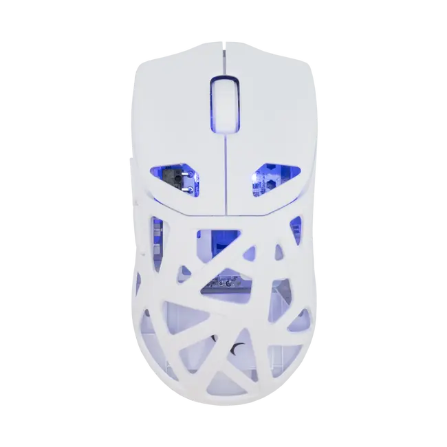 White Shark MIŠ WGM-5019 DAGONET / 24.000 DPI - Bijeli / Wireless