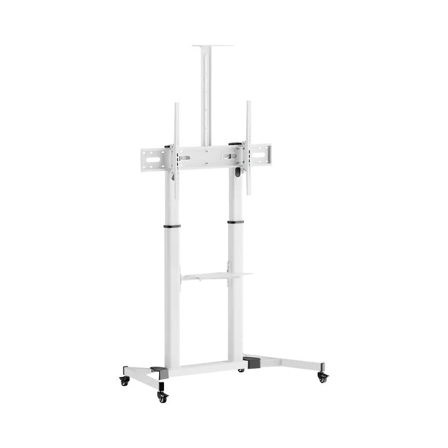 STALAK SBOX Podni FS-3610 Bijeli (60-100"/100kg/1000x600)
