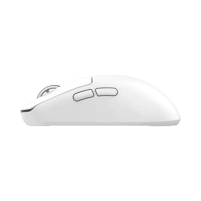 White Shark MIŠ WGM-5021 BORS / 12.000 DPI - Bijeli / Wireless