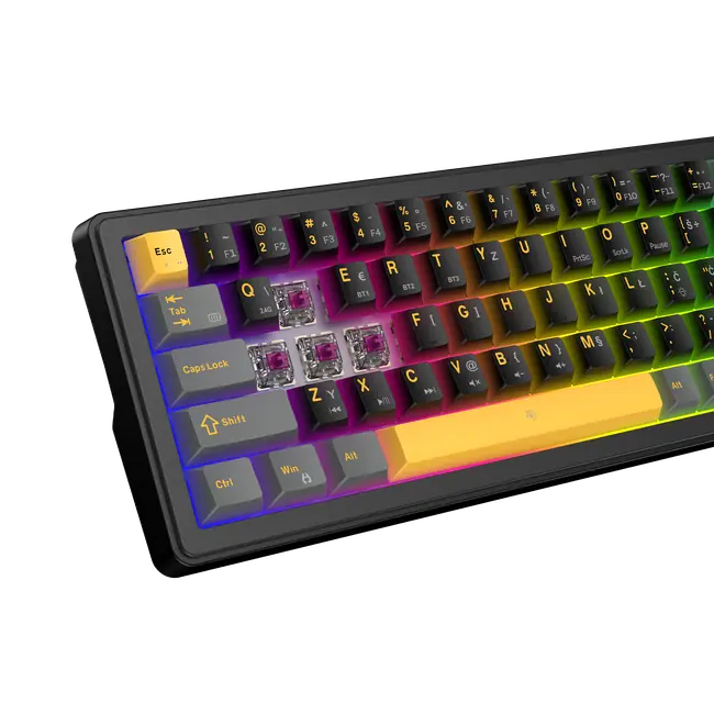 White Shark PL KEYBOARD GK-009152 EXCALIBUR M - Black / HR