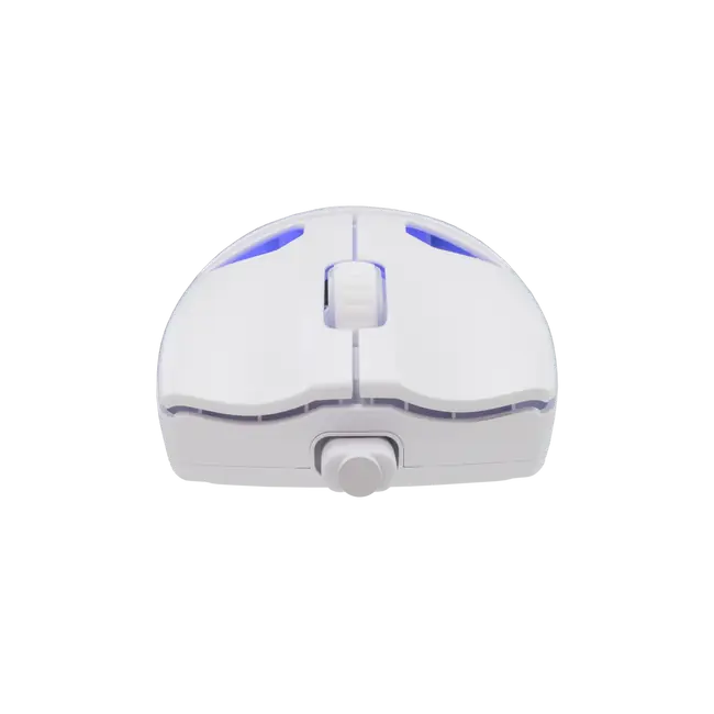 White Shark MOUSE WGM-5019 DAGONET / 24.000 DPI - WHITE / Wireless