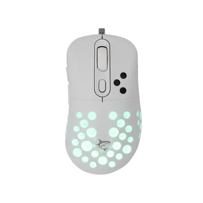 Bijeli